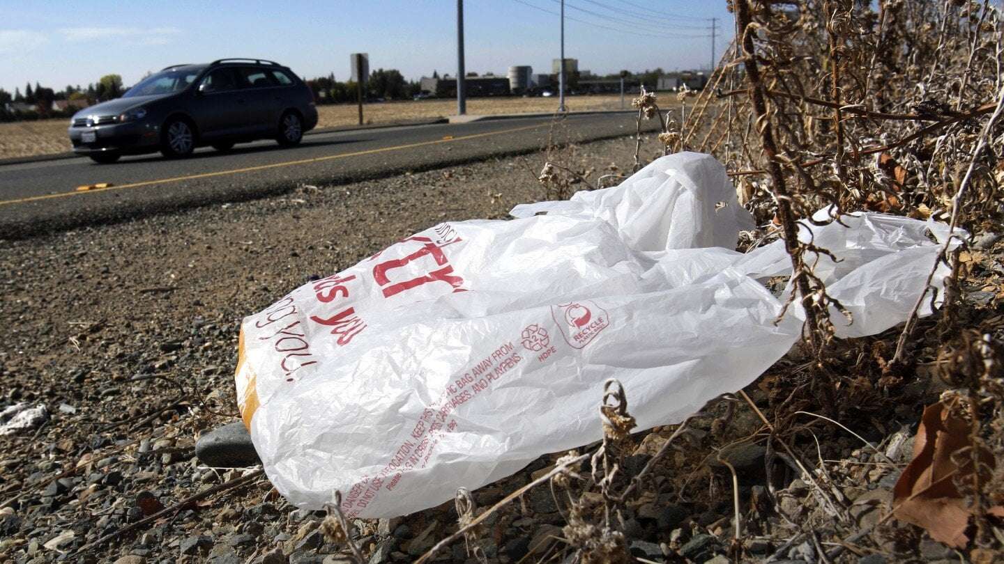 image for California governor signs law banning all plastic shopping bags at grocery stores