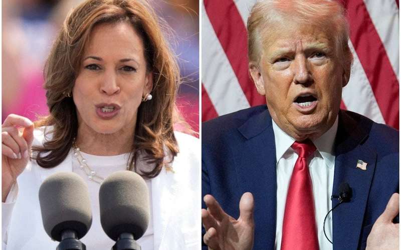 image for Harris vs. Trump latest presidential poll: 7-point turnaround gives surging candidate big national lead