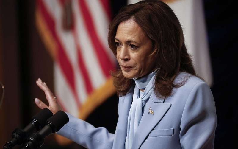image for Montana Voting System Shut Down After Kamala Harris Left Off Ballot