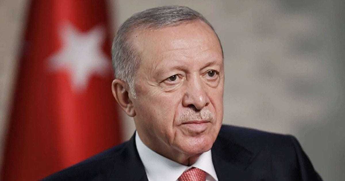 image for Turkey will not 'be rushed' on Ukraine NATO membership, Erdogan tells NBC News