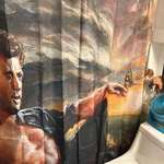image for So my wife texted me at work to show me our new shower curtain.