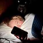 image for The creepiness of being a cat owner