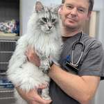 image for After 17 years of being a vet, I still get impressed by some of my patients.