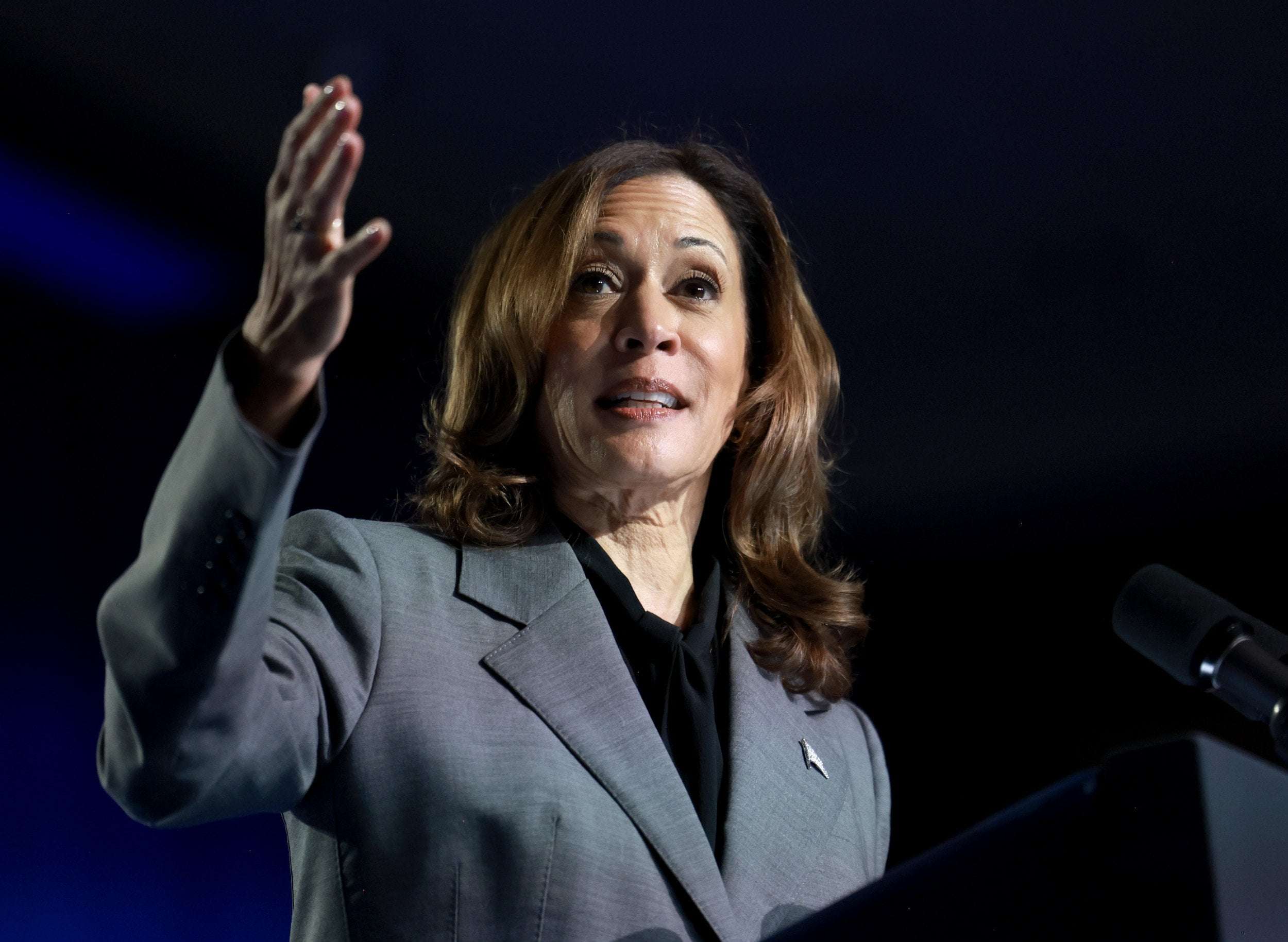 image for Kamala Harris Gets Georgia Boost as 120,000 New Voters Sign Up