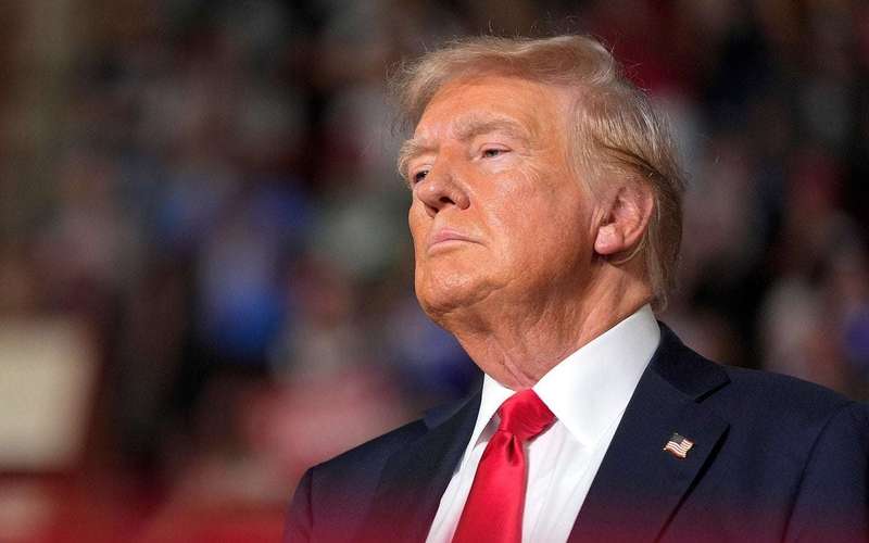 image for Bombshell immunity filing details Trump's alleged 'increasingly desperate' bid to overturn 2020 election