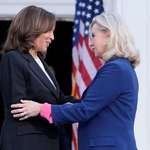 image for Harris and Cheney at their first rally together in WI. Priceless.