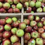 image for These apples I saw at the grocery store are so shiny that they almost look plasticky.