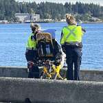 image for EMT's showing a patient the ocean before they go to hospice care.