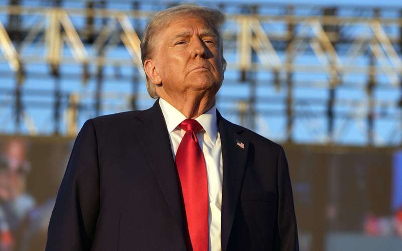 image for Donald Trump Fact-Checked by Laura Ingraham During Fox News Interview