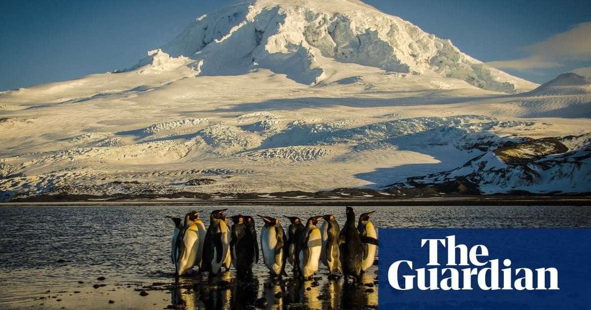 image for ‘Huge environmental win’: Australia to protect 52% of its oceans, more than any other country, Plibersek says