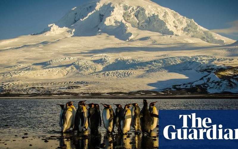 image for ‘Huge environmental win’: Australia to protect 52% of its oceans, more than any other country, Plibersek says