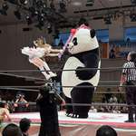 image for Japanese wrestling