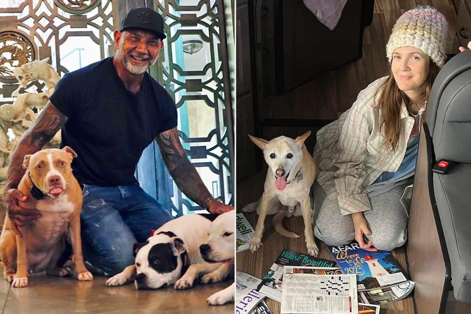 image for Drew Barrymore and Dave Bautista Will Spend Adopt a Shelter Dog Month Finding Homes for Pups