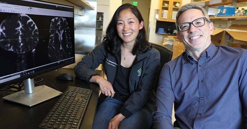 image for Brain’s waste-clearance pathways revealed for the first time