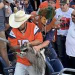 image for Raccoon is escorted out of NFL stadium by fans