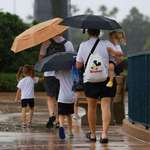 image for People arrive at Walt Disney World as Hurricane Milton approaches, in Orlando, Florida, October 9