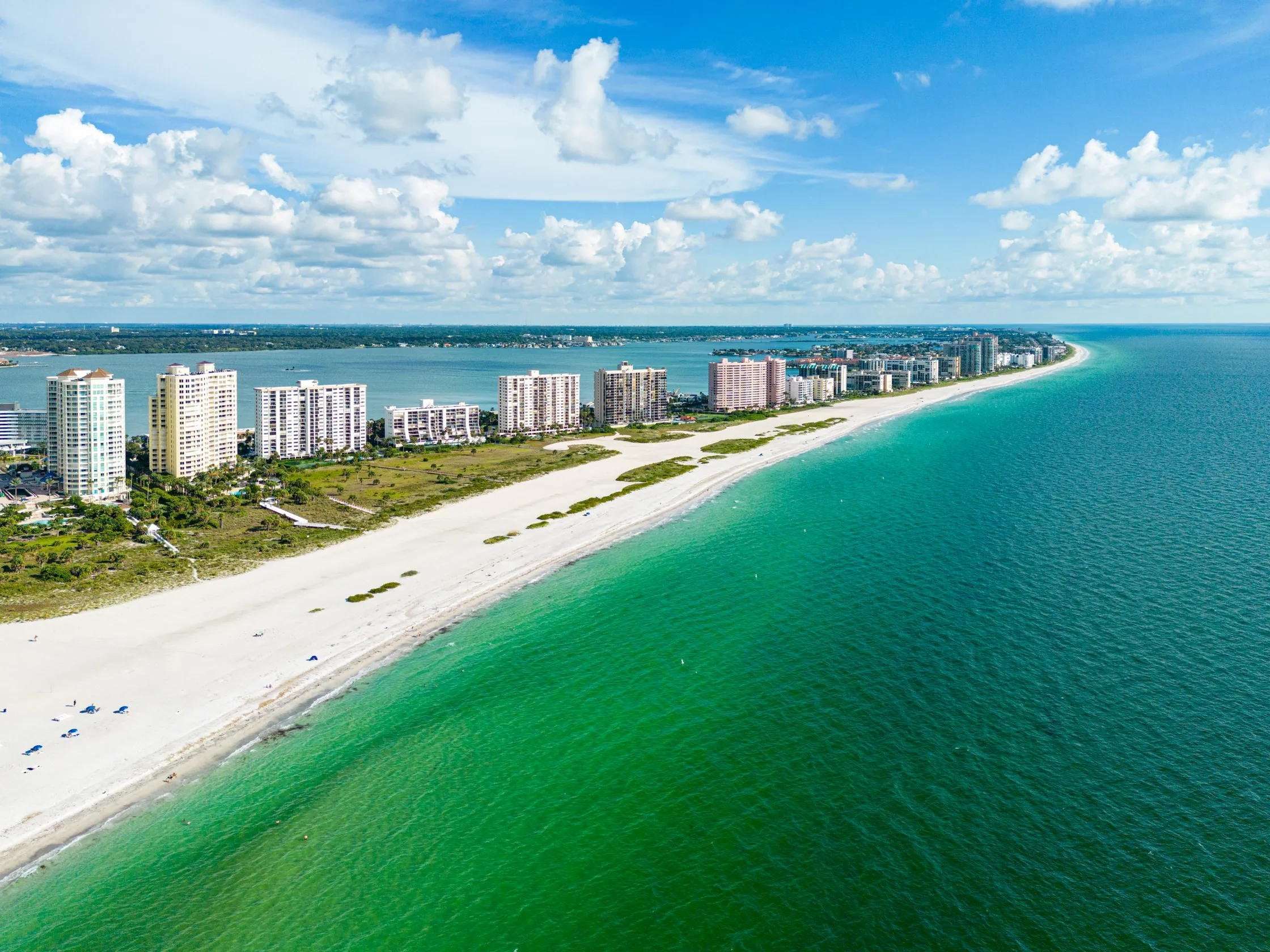 image for Can walls of oysters protect shores against hurricanes? Darpa wants to know.