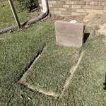 image for Our lawn care guys edged our cats grave