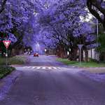 image for Hi from Pretoria, South Africa.