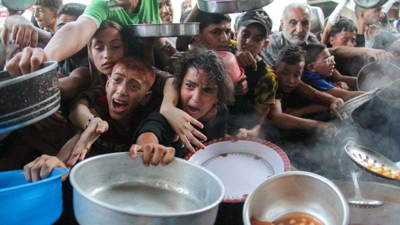 image for No food has entered northern Gaza since start of October, says UN