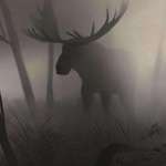 image for Moose in fog.