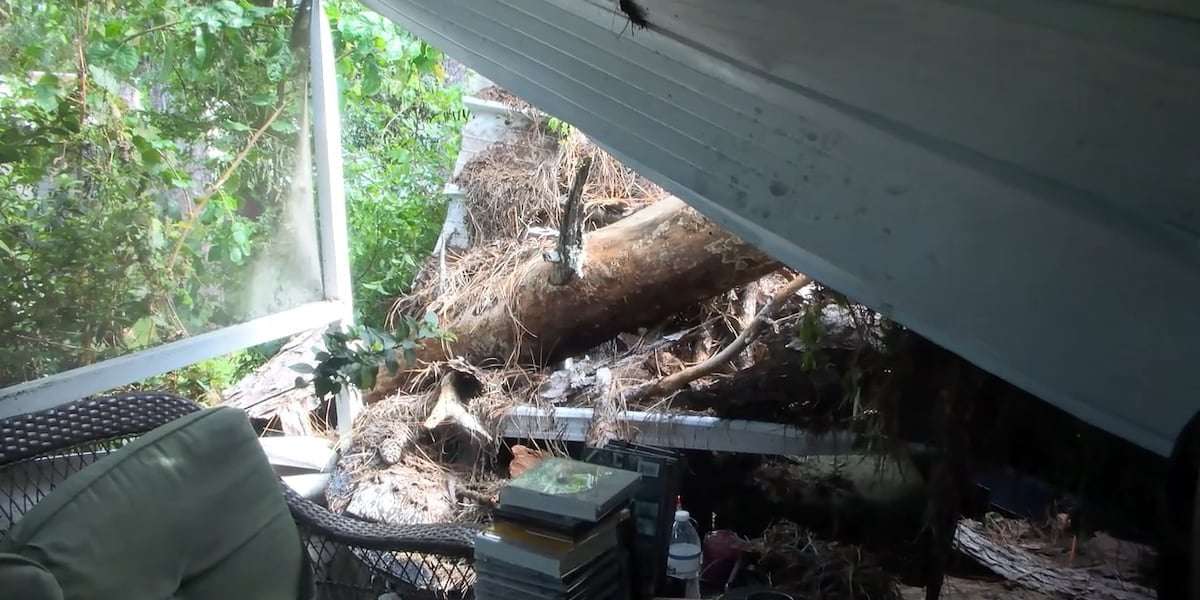 image for Arrest made amid security threats prompting FEMA contractors to ‘stand down’