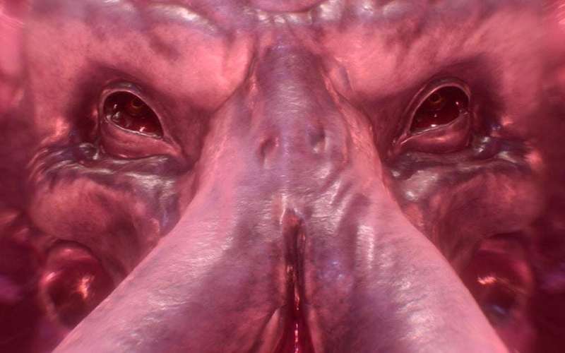 image for Larian's director of publishing calls out Baldur's Gate 3 CE scalpers for "making people sad"