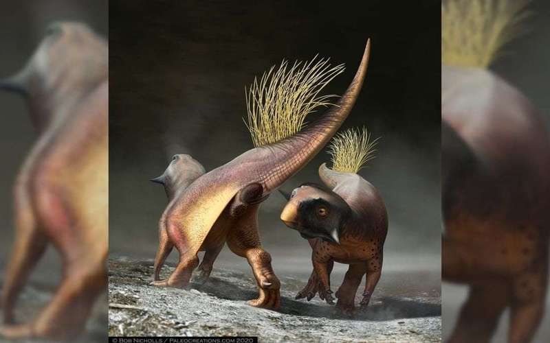 image for 1st preserved dinosaur butthole is 'perfect' and 'unique,' paleontologist says