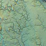 image for Lidar scan of an ancient civilization in the Amazon Rainforest