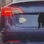 image for Seen on a Tesla