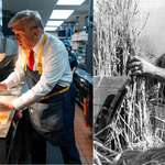 image for Propaganda Now vs Then