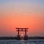 image for Sunset in Miyajima