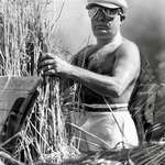image for A staged propaganda photo of facist leader, Benito Mussolini "harvesting" wheat in 1938.