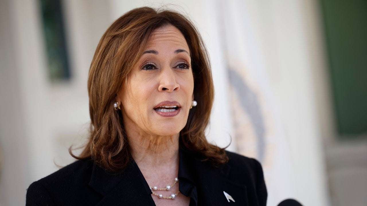 image for Kamala Harris Asks Americans: Are You Really Going to Elect a Guy Who Has Good Things to Say About Hitler?