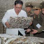 image for Kim Jong Un visits a fish processing facility