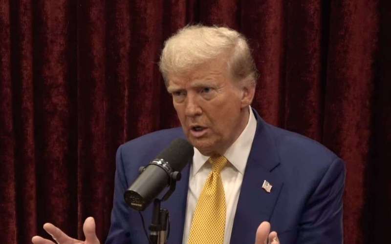 image for Joe Rogan asked Donald Trump for specifics on how 2020 was stolen. Then could only laugh at the answer