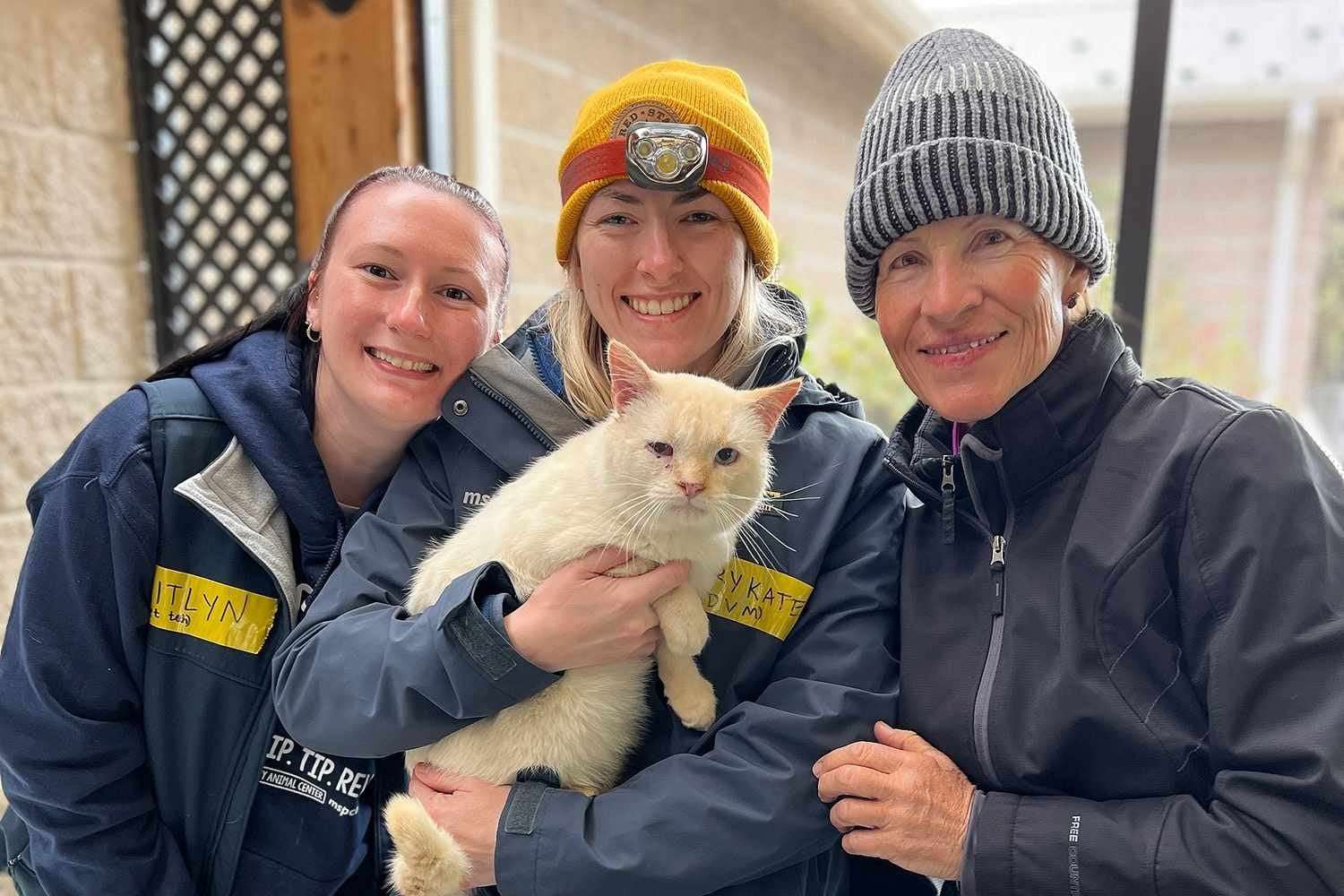 image for Cat Who Floated Away on Rooftop During Hurricane Helene Reunites with Family Over a Week Later