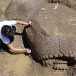image for Fossilized shells of armadillos the size of Volkswagen Beetles discovered in Argentina