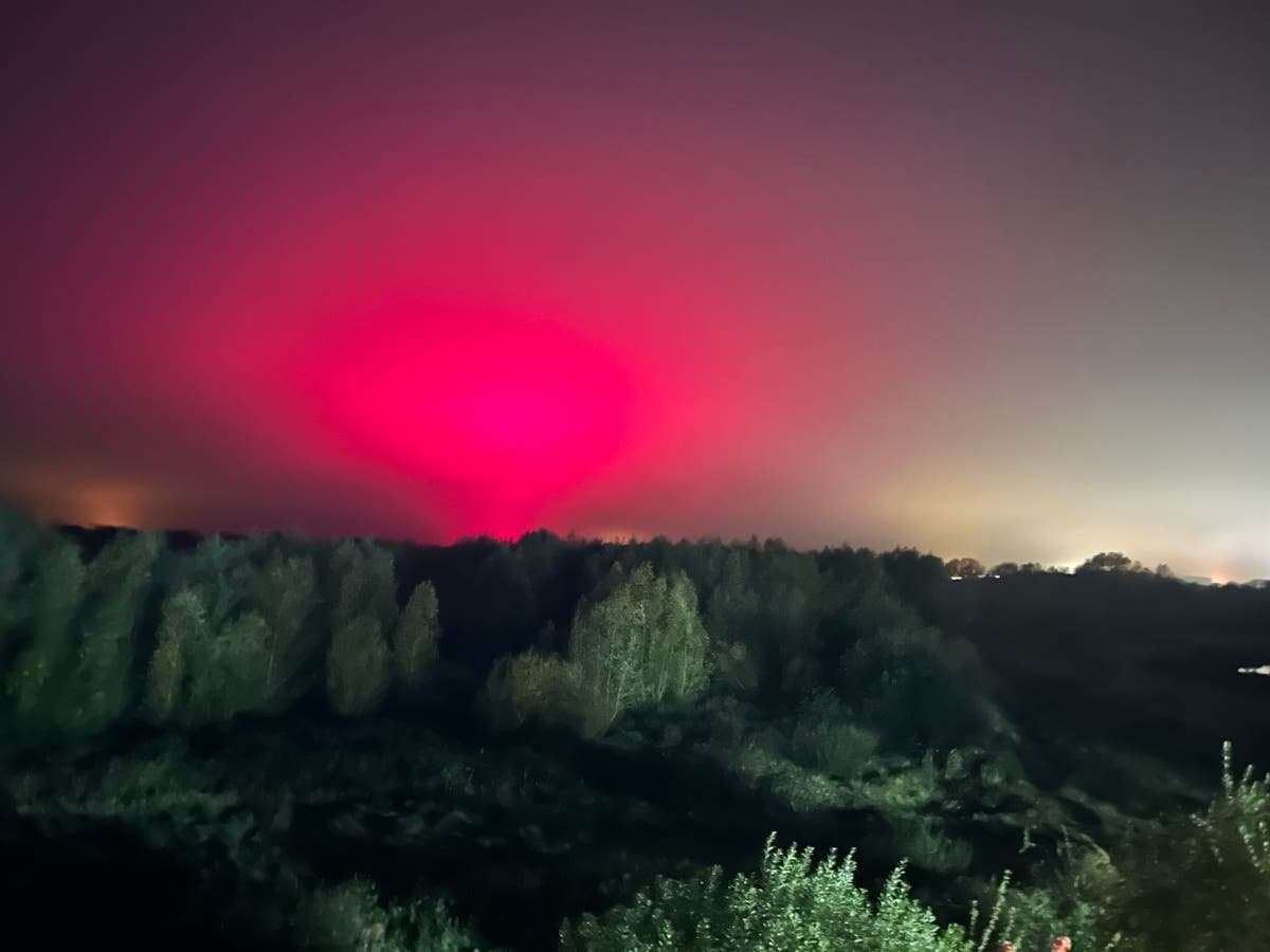 image for Woman left disappointed after ‘Northern Lights-style aurora’ turns out to be local tomato factory