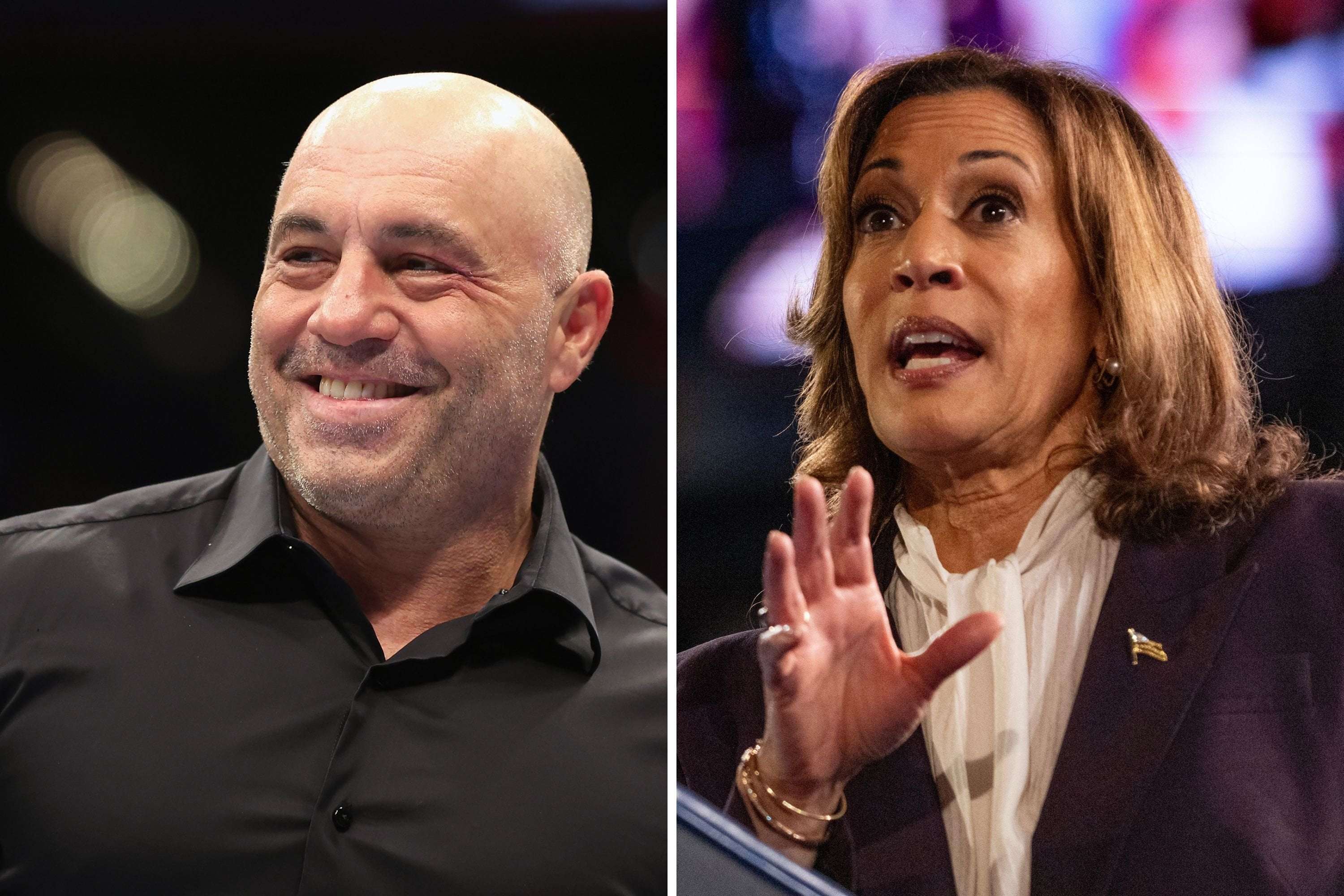 image for Video of Joe Rogan Defending Kamala Harris in Trump Chat Takes Off Online