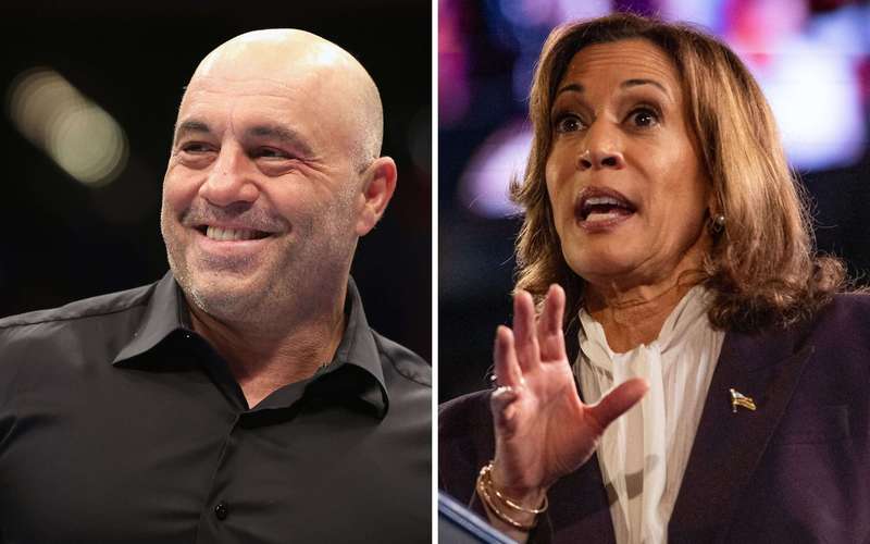 image for Video of Joe Rogan Defending Kamala Harris in Trump Chat Takes Off Online