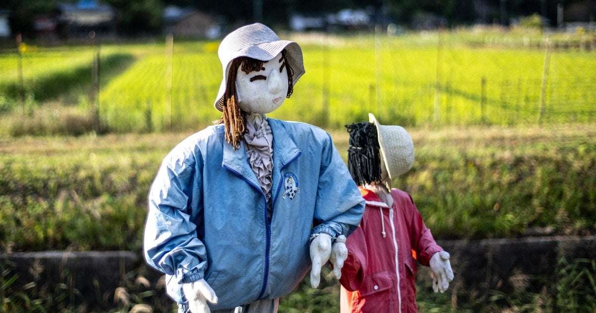 image for 'Outnumbered by puppets': Depopulated village in Japan crafts dolls for sense of life