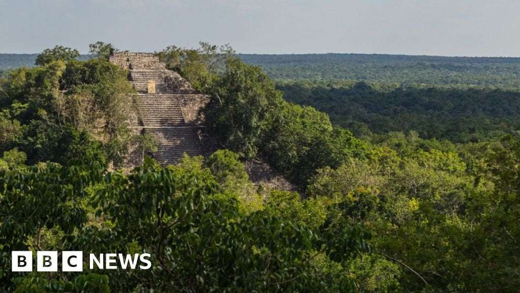 image for Lost Mayan city found in Mexico jungle by accident