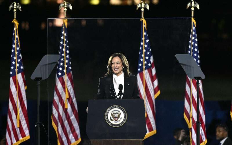 image for Kamala Harris' Crowd Size Crushes Previous Record With Ellipse Speech