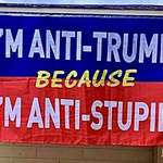 image for Anti-stupid
