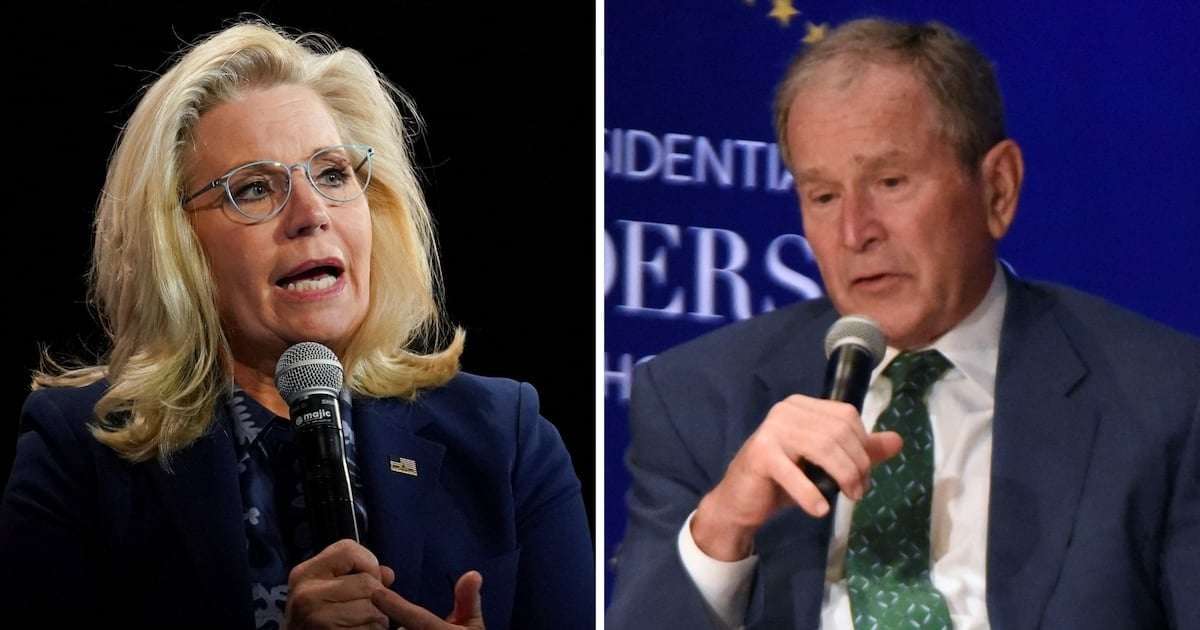 image for Liz Cheney Tells George W. Bush to Endorse Kamala Harris: ‘It’s Time’
