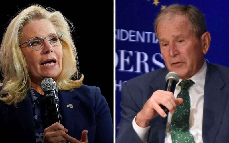 image for Liz Cheney Tells George W. Bush to Endorse Kamala Harris: ‘It’s Time’