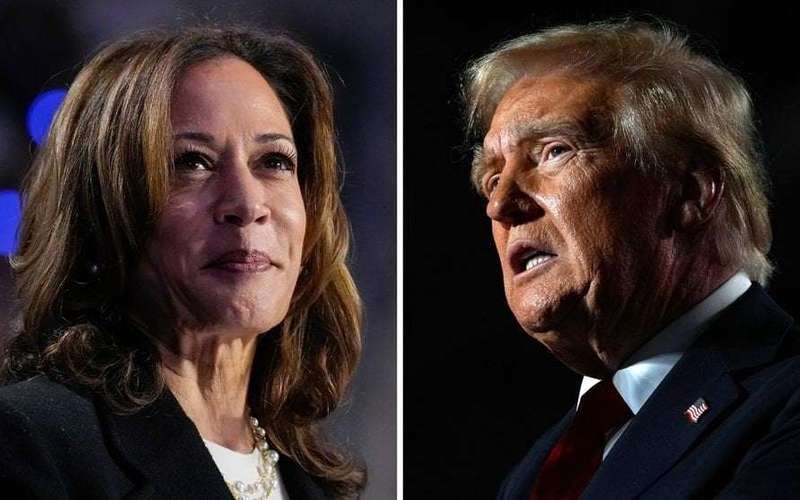 image for Final Iowa Poll shows Harris leading Trump, party leaders respond to shift
