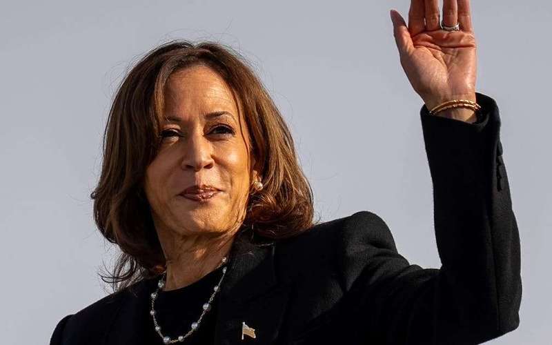 image for Trump Visibly Rattled as Surprise Polls Show Undecideds Move to Harris