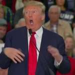 image for In 2015, Donald Trump made fun of, NYT reporter, Serge Kovaleski’s congenital joint condition.